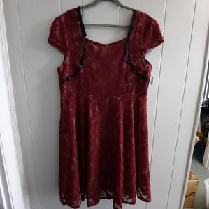 Nextmia Lined Lace Cap Sleeve Dress Size 16